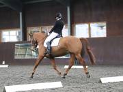 Image 49 in DRESSAGE AT WORLD HORSE WELFARE. 2ND. MARCH 2019