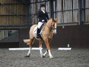 Image 54 in DRESSAGE AT WORLD HORSE WELFARE. 2ND. MARCH 2019