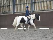 Image 60 in DRESSAGE AT WORLD HORSE WELFARE. 2ND. MARCH 2019