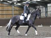 Image 63 in DRESSAGE AT WORLD HORSE WELFARE. 2ND. MARCH 2019