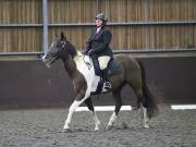 Image 7 in DRESSAGE AT WORLD HORSE WELFARE. 2ND. MARCH 2019