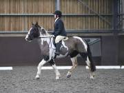 Image 70 in DRESSAGE AT WORLD HORSE WELFARE. 2ND. MARCH 2019