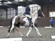Image 72 in DRESSAGE AT WORLD HORSE WELFARE. 2ND. MARCH 2019