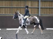 Image 73 in DRESSAGE AT WORLD HORSE WELFARE. 2ND. MARCH 2019