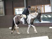 Image 89 in DRESSAGE AT WORLD HORSE WELFARE. 2ND. MARCH 2019