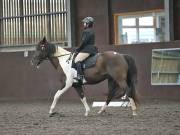 Image 9 in DRESSAGE AT WORLD HORSE WELFARE. 2ND. MARCH 2019