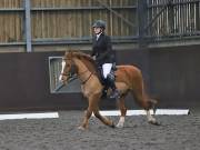 Image 90 in DRESSAGE AT WORLD HORSE WELFARE. 2ND. MARCH 2019