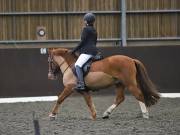 Image 93 in DRESSAGE AT WORLD HORSE WELFARE. 2ND. MARCH 2019