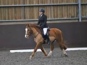Image 96 in DRESSAGE AT WORLD HORSE WELFARE. 2ND. MARCH 2019