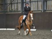 Image 97 in DRESSAGE AT WORLD HORSE WELFARE. 2ND. MARCH 2019