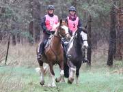 Image 10 in ANGLIAN DISTANCE RIDERS. 9 MARCH 2019