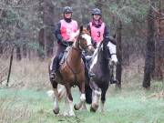 Image 10 in ANGLIAN DISTANCE RIDERS.  9 MARCH 2019