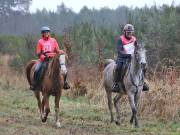 Image 101 in ANGLIAN DISTANCE RIDERS. 9 MARCH 2019