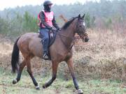 Image 103 in ANGLIAN DISTANCE RIDERS.  9 MARCH 2019