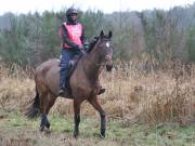 Image 106 in ANGLIAN DISTANCE RIDERS.  9 MARCH 2019