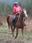 Image 109 in ANGLIAN DISTANCE RIDERS. 9 MARCH 2019