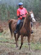 Image 109 in ANGLIAN DISTANCE RIDERS.  9 MARCH 2019