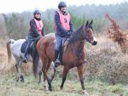 Image 111 in ANGLIAN DISTANCE RIDERS. 9 MARCH 2019