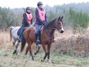 Image 115 in ANGLIAN DISTANCE RIDERS.  9 MARCH 2019