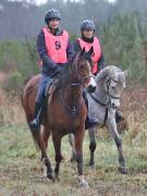 Image 116 in ANGLIAN DISTANCE RIDERS.  9 MARCH 2019