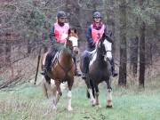 Image 12 in ANGLIAN DISTANCE RIDERS. 9 MARCH 2019