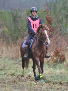 Image 120 in ANGLIAN DISTANCE RIDERS.  9 MARCH 2019