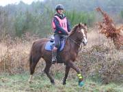 Image 121 in ANGLIAN DISTANCE RIDERS.  9 MARCH 2019