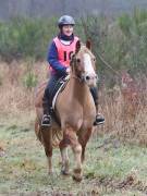 Image 123 in ANGLIAN DISTANCE RIDERS. 9 MARCH 2019