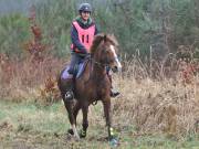 Image 124 in ANGLIAN DISTANCE RIDERS. 9 MARCH 2019