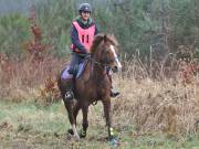 Image 124 in ANGLIAN DISTANCE RIDERS.  9 MARCH 2019