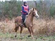 Image 126 in ANGLIAN DISTANCE RIDERS. 9 MARCH 2019