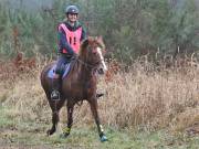 Image 128 in ANGLIAN DISTANCE RIDERS. 9 MARCH 2019