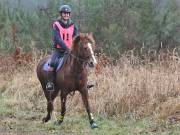 Image 128 in ANGLIAN DISTANCE RIDERS.  9 MARCH 2019