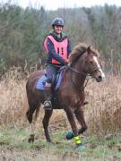 Image 129 in ANGLIAN DISTANCE RIDERS.  9 MARCH 2019