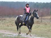 Image 133 in ANGLIAN DISTANCE RIDERS. 9 MARCH 2019