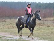 Image 133 in ANGLIAN DISTANCE RIDERS.  9 MARCH 2019