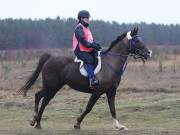 Image 139 in ANGLIAN DISTANCE RIDERS.  9 MARCH 2019