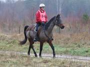 Image 147 in ANGLIAN DISTANCE RIDERS.  9 MARCH 2019