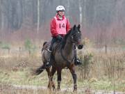 Image 149 in ANGLIAN DISTANCE RIDERS. 9 MARCH 2019