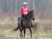 Image 149 in ANGLIAN DISTANCE RIDERS.  9 MARCH 2019