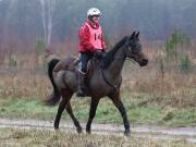 Image 150 in ANGLIAN DISTANCE RIDERS.  9 MARCH 2019