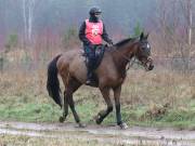 Image 151 in ANGLIAN DISTANCE RIDERS.  9 MARCH 2019