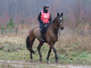 Image 152 in ANGLIAN DISTANCE RIDERS. 9 MARCH 2019
