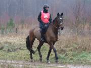 Image 152 in ANGLIAN DISTANCE RIDERS.  9 MARCH 2019