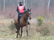 Image 153 in ANGLIAN DISTANCE RIDERS.  9 MARCH 2019