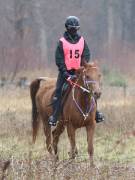 Image 157 in ANGLIAN DISTANCE RIDERS. 9 MARCH 2019