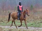 Image 158 in ANGLIAN DISTANCE RIDERS.  9 MARCH 2019