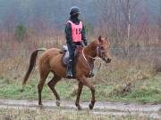 Image 159 in ANGLIAN DISTANCE RIDERS.  9 MARCH 2019