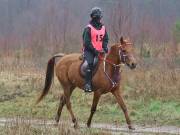 Image 160 in ANGLIAN DISTANCE RIDERS. 9 MARCH 2019