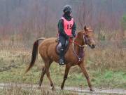 Image 160 in ANGLIAN DISTANCE RIDERS.  9 MARCH 2019